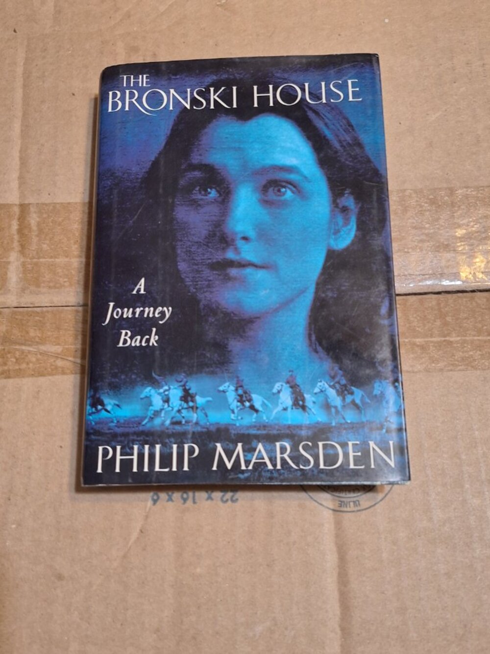 the Bronski House